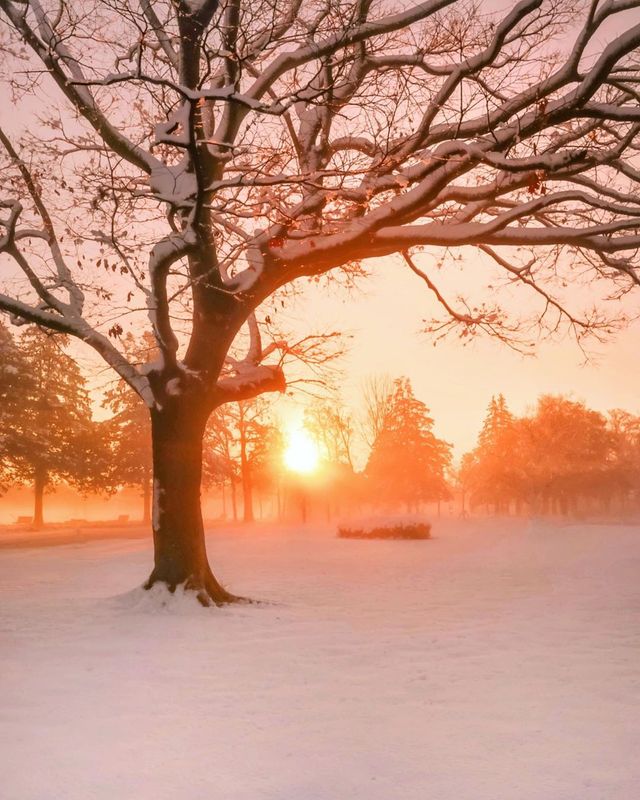 Японія, від якої важко відвести погляд: яскраві фото - фото 317577