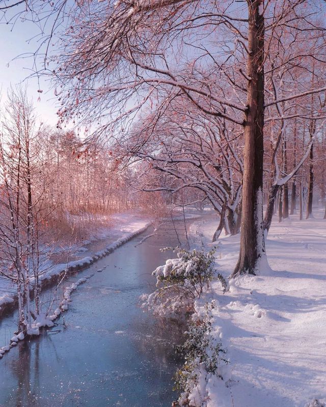 Японія, від якої важко відвести погляд: яскраві фото - фото 317579