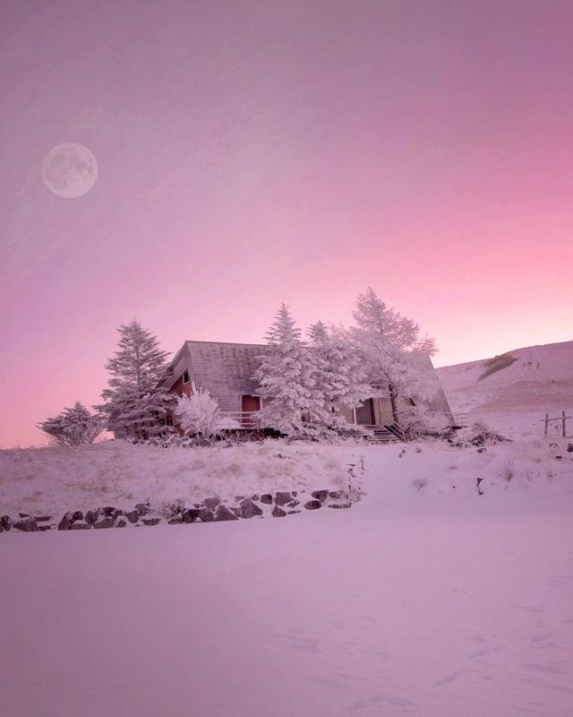 Японія, від якої важко відвести погляд: яскраві фото - фото 317580