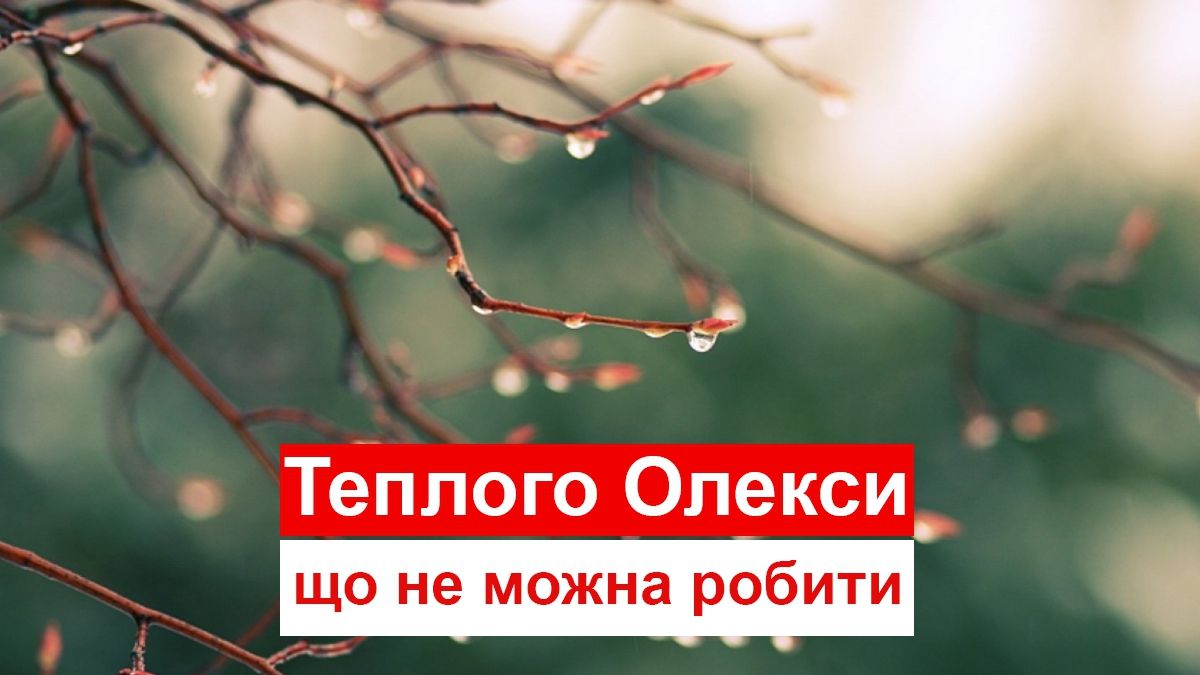 Теплого Олекси 2019: що можна та не можна робити в цей день - фото 1