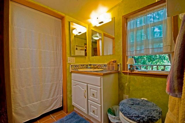 Хижа в лісі стала найпопулярнішим помешканням на Airbnb - фото 318000