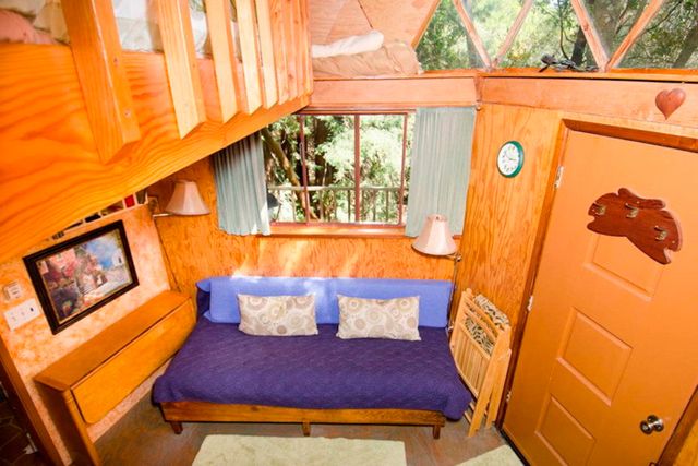 Хижа в лісі стала найпопулярнішим помешканням на Airbnb - фото 318002