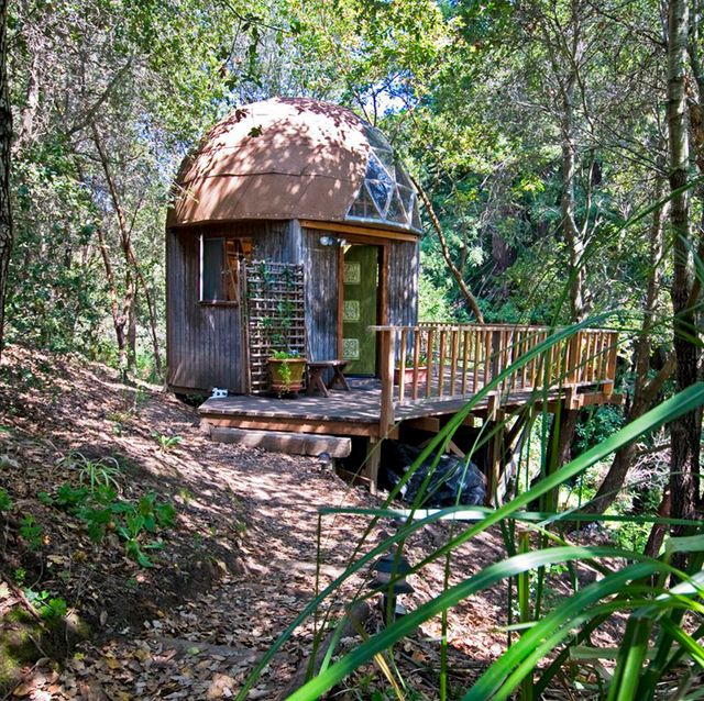 Хижа в лісі стала найпопулярнішим помешканням на Airbnb - фото 318005