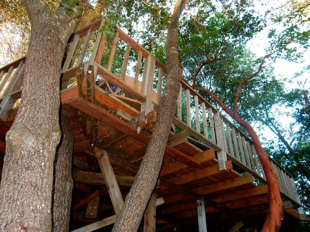 Хижа в лісі стала найпопулярнішим помешканням на Airbnb - фото 318008