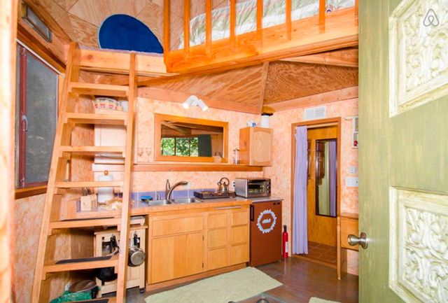 Хижа в лісі стала найпопулярнішим помешканням на Airbnb - фото 318009