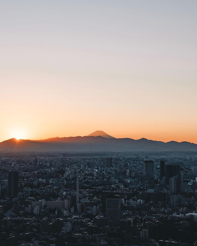 Подорож японськими вулицями: захопливі фото - фото 318771