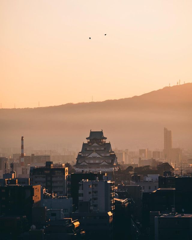 Подорож японськими вулицями: захопливі фото - фото 318782