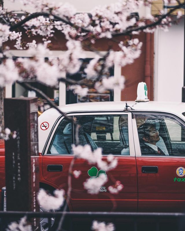 Подорож японськими вулицями: захопливі фото - фото 318787