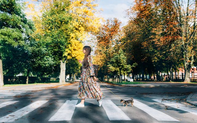 Потрібно ходити бодай 22 хвилини на день - фото 318937