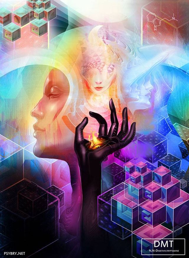 Експеримент: як 20 різних видів наркотиків впливають на людину - фото 319013