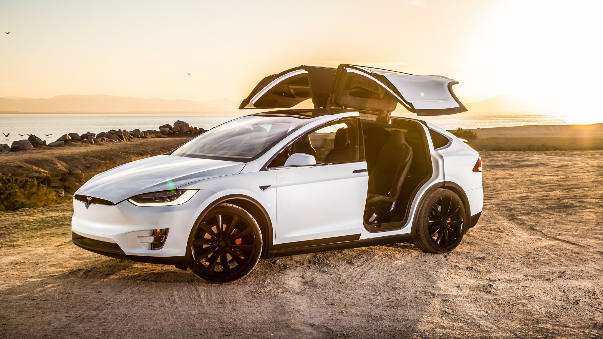 Tesla Model X випробували болотом - фото 1