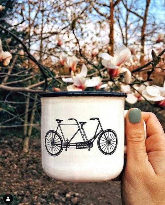 Цвітіння магнолій у Києві в яскравих знімках - фото 319468