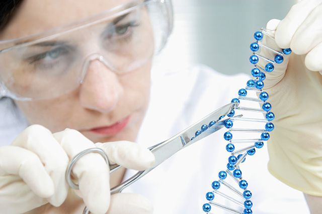 Вчені знайшли ген краси - фото 319475