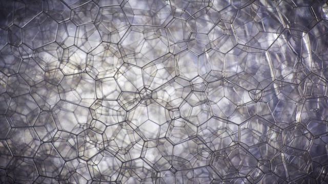 Вгадаєте? Приголомшливі фото звичайних речей крупним планом - фото 319783