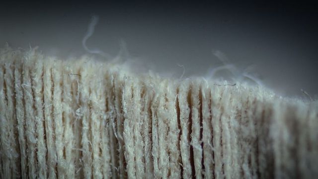 Вгадаєте? Приголомшливі фото звичайних речей крупним планом - фото 319795