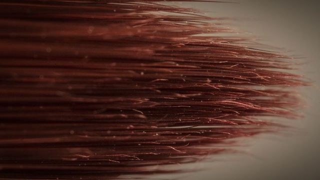 Вгадаєте? Приголомшливі фото звичайних речей крупним планом - фото 319796