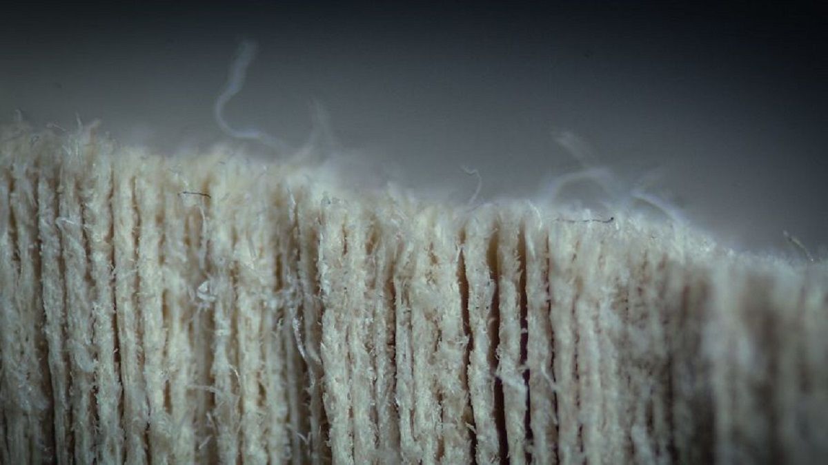 Вгадаєте? Приголомшливі фото звичайних речей крупним планом