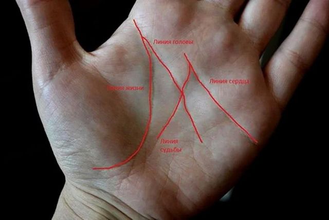 У вас є буква 'М' на долоні? Тоді вам дуже пощастило - фото 319976