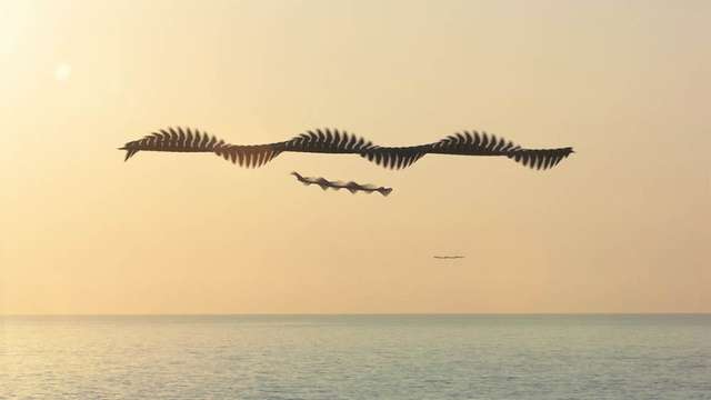 Фотограф створив вражаючі кадри польотів птахів - фото 319987