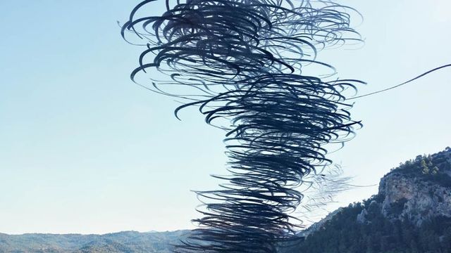 Фотограф створив вражаючі кадри польотів птахів - фото 319989