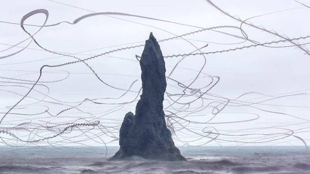 Фотограф створив вражаючі кадри польотів птахів - фото 319990