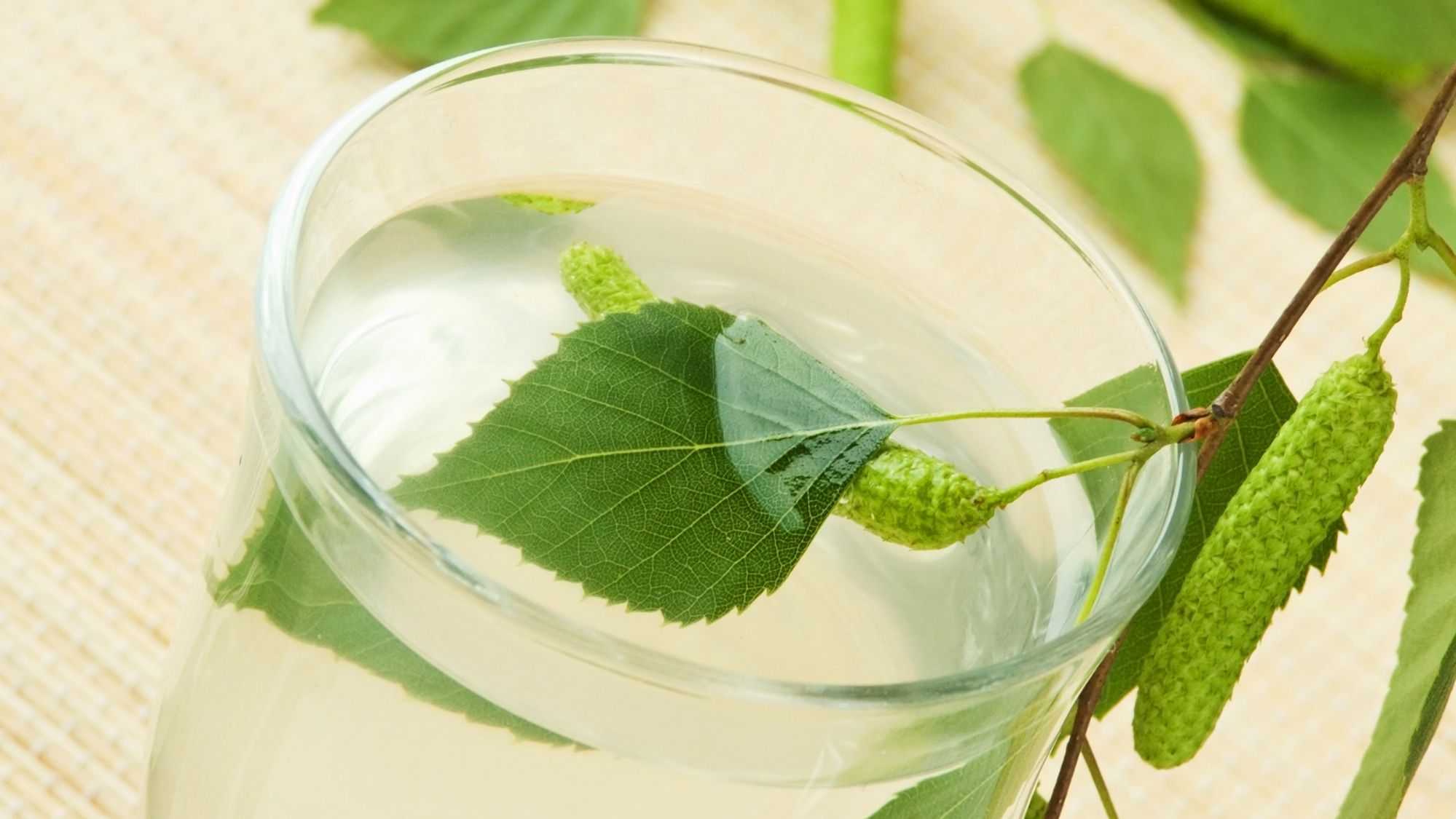 Кому особливо корисно пити березовий сік