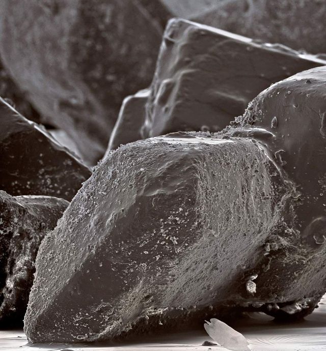 Як виглядає їжа під мікроскопом: вражаючі кадри - фото 320065