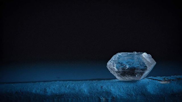 Як виглядає їжа під мікроскопом: вражаючі кадри - фото 320066