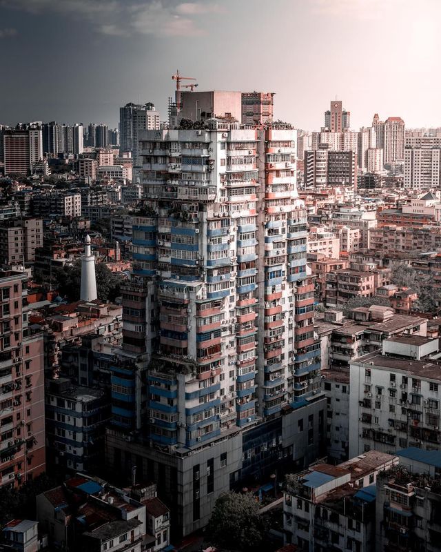 Вуличні фото китайця змушують затримати погляд: яскраві кадри - фото 320118