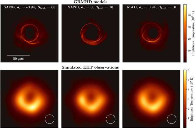 Учені зробили перше в історії фото чорної діри: її розміри шокують - фото 320313