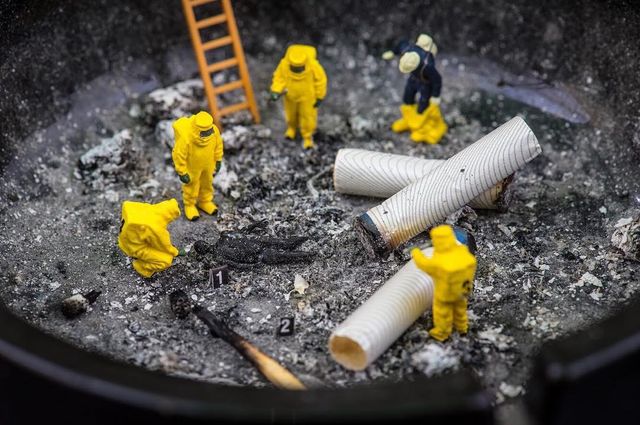 Фотограф з Угорщини створює мікроскопічні світи: вражаючі фото - фото 320365