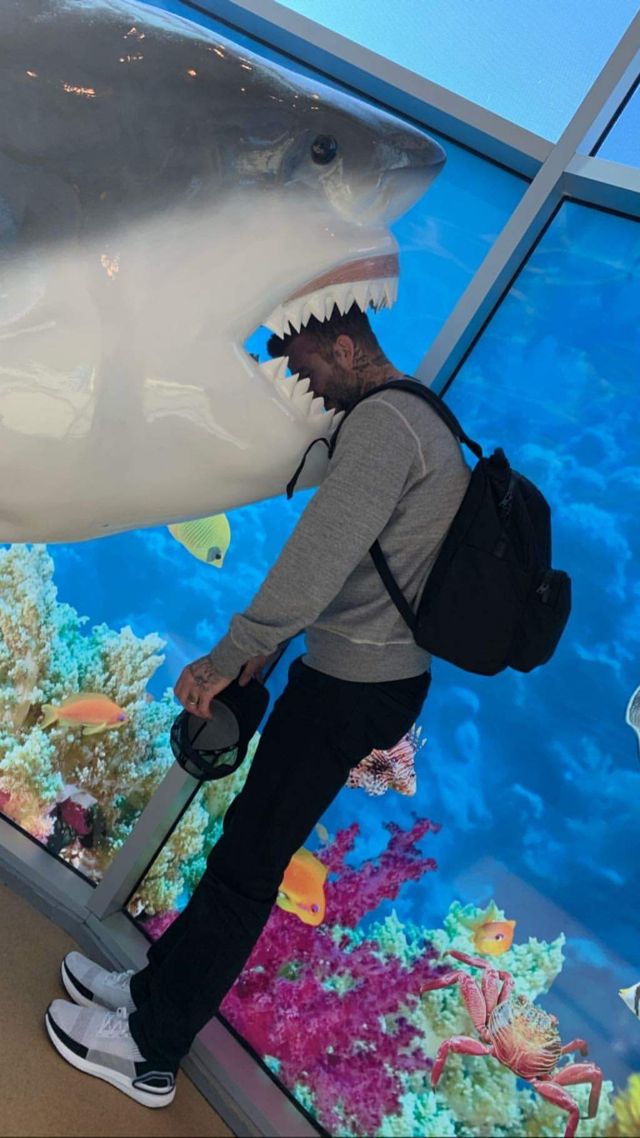 Девід Бекхем зворушив милими знімками з дочкою - фото 320942