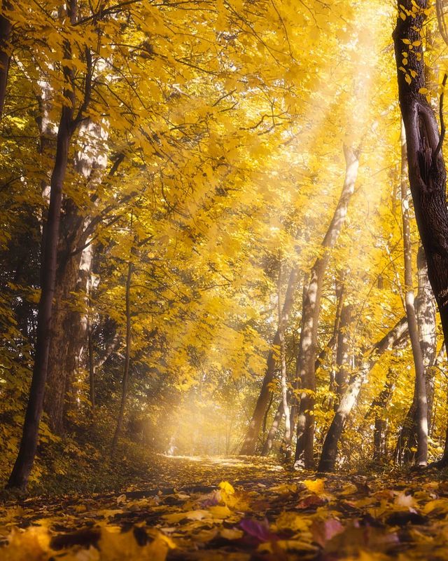 Норвежець надихає на мандри своїми яскравими фото - фото 321116