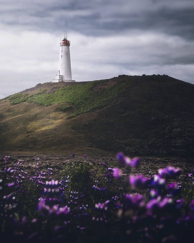 Норвежець надихає на мандри своїми яскравими фото - фото 321119