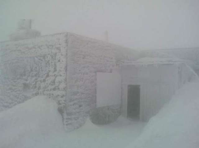 У Карпатах випав сильний сніг: фотофакт - фото 321238