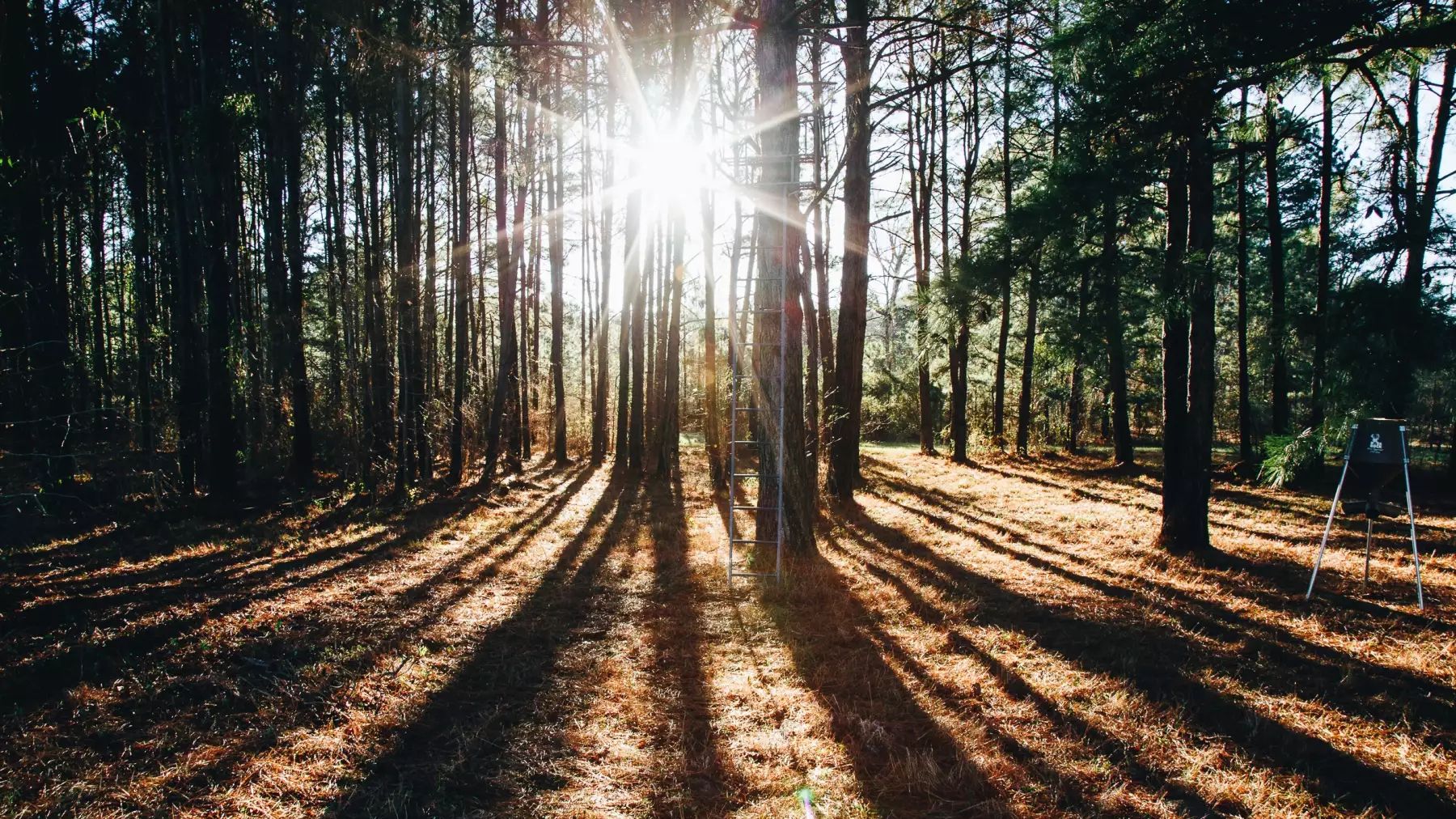 Без цієї речі не залишиться гарних місць у природі - фото 1