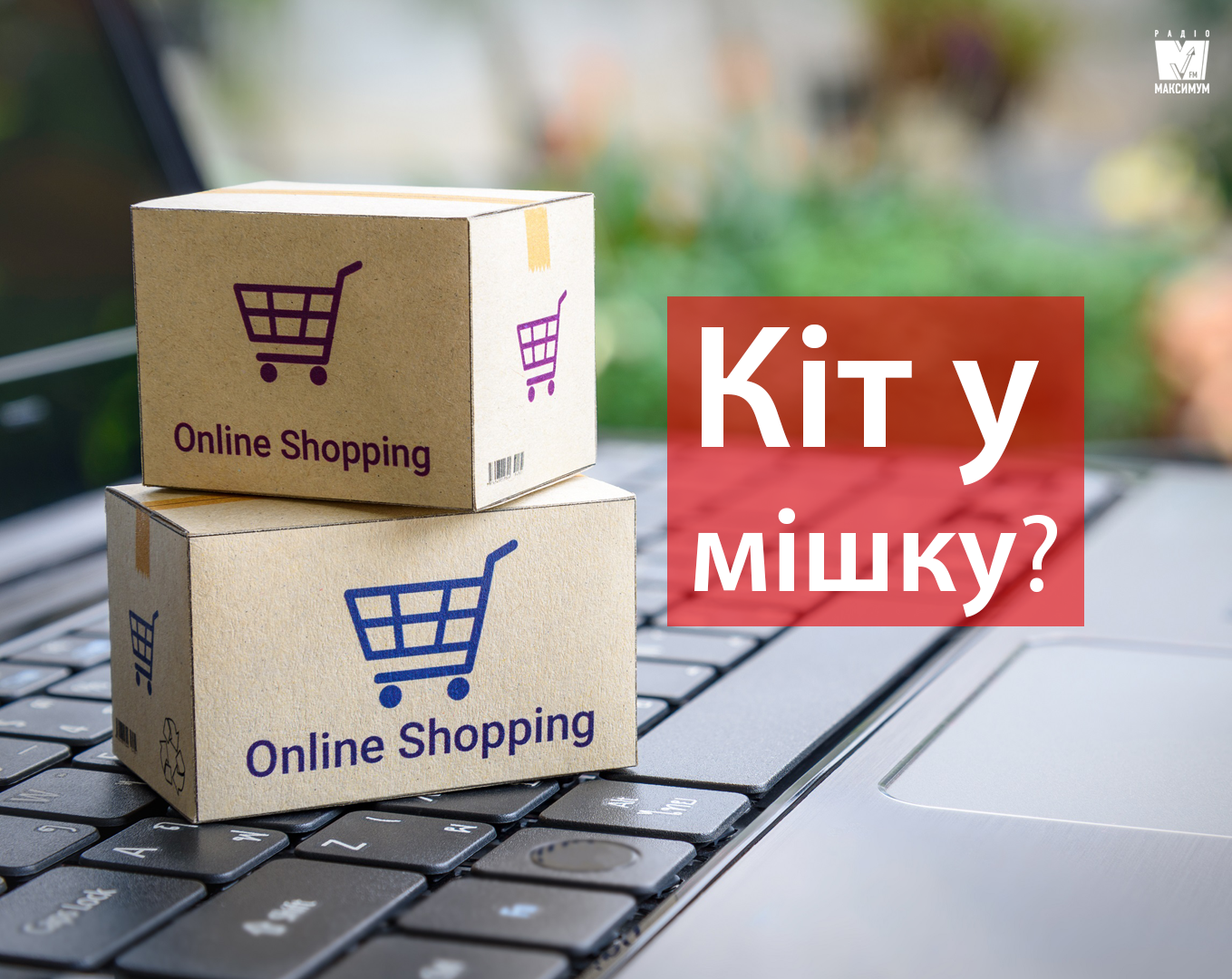 Чи варто купувати техніку лише в інтернет-магазинах? - фото 1