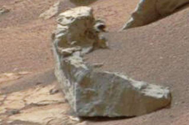 Існує життя на Марсі? Новий знімок від NASA викликав ажіотаж у мережі - фото 321284