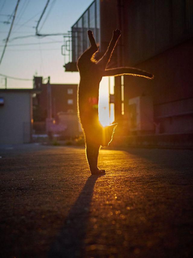 sakata_77 - фото 321368