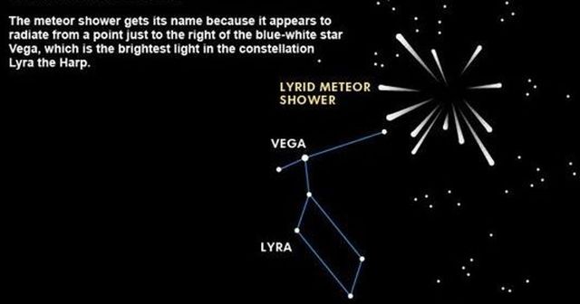 Коли можна спостерігати перший весняний зорепад: точна дата - фото 321497
