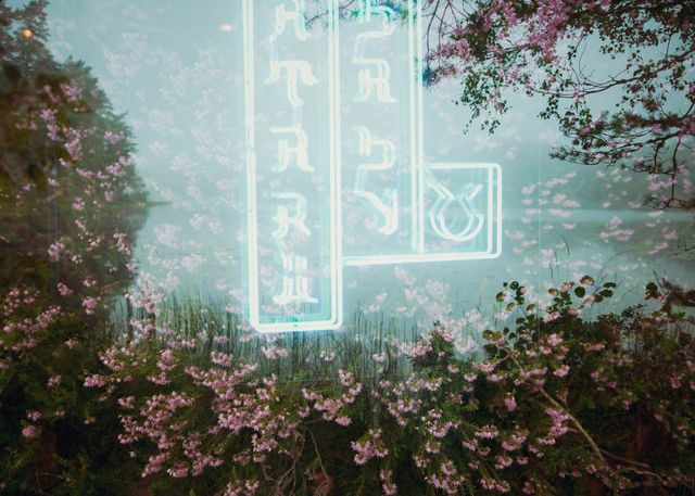 Фінляндія і Гонконг: фотограф поєднав мандри у вражаючих кадрах - фото 321680