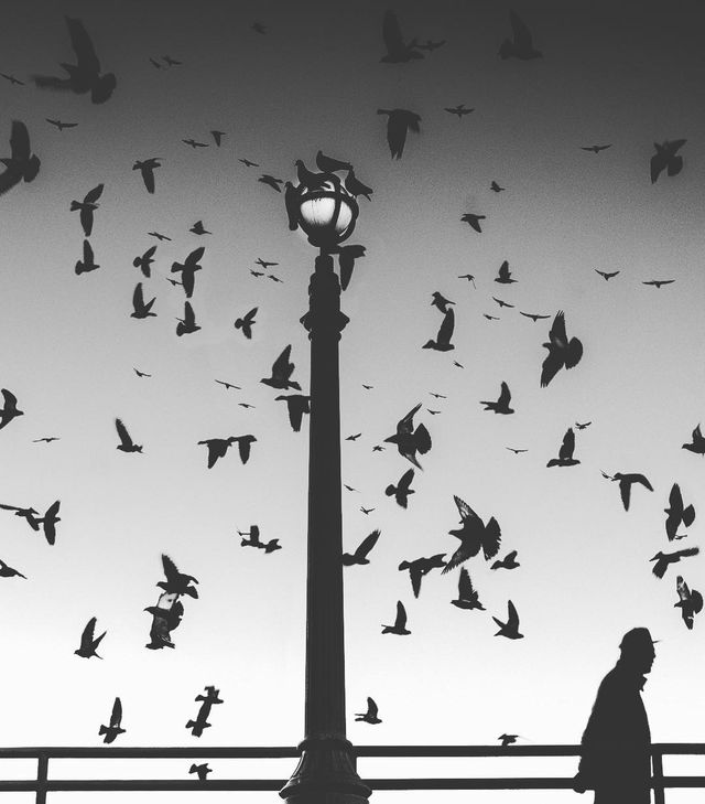 Американець робить вражаючі фото на смартфон: ефектні кадри - фото 321865