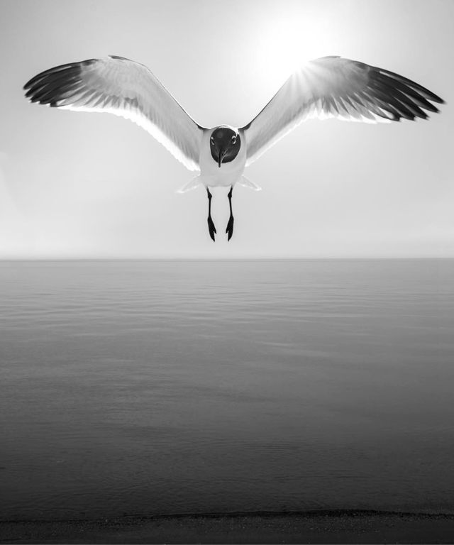 Американець робить вражаючі фото на смартфон: ефектні кадри - фото 321875