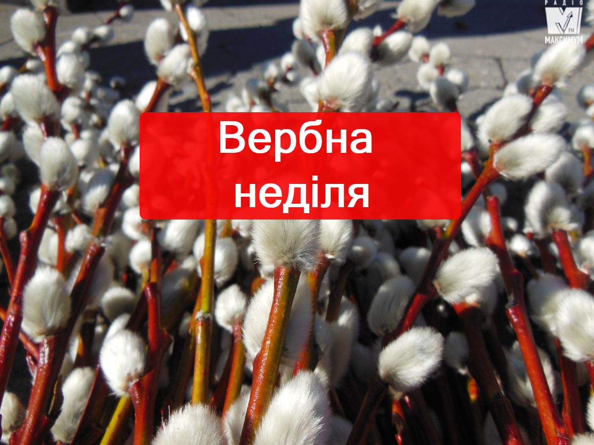 Заборони у Вербну неділю - фото 1