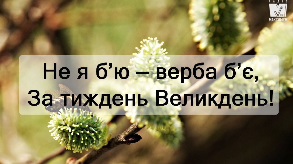 Не я б'ю – верба б'є: як правильно вітатися на Вербну неділю
