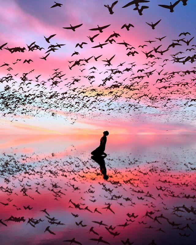 Рожевий сезон: захопливі фото світу у несподіваних кольорах - фото 322134