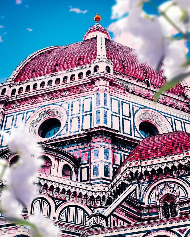 Рожевий сезон: захопливі фото світу у несподіваних кольорах - фото 322136