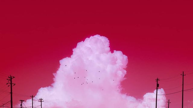 Рожевий сезон: захопливі фото світу у несподіваних кольорах - фото 322143