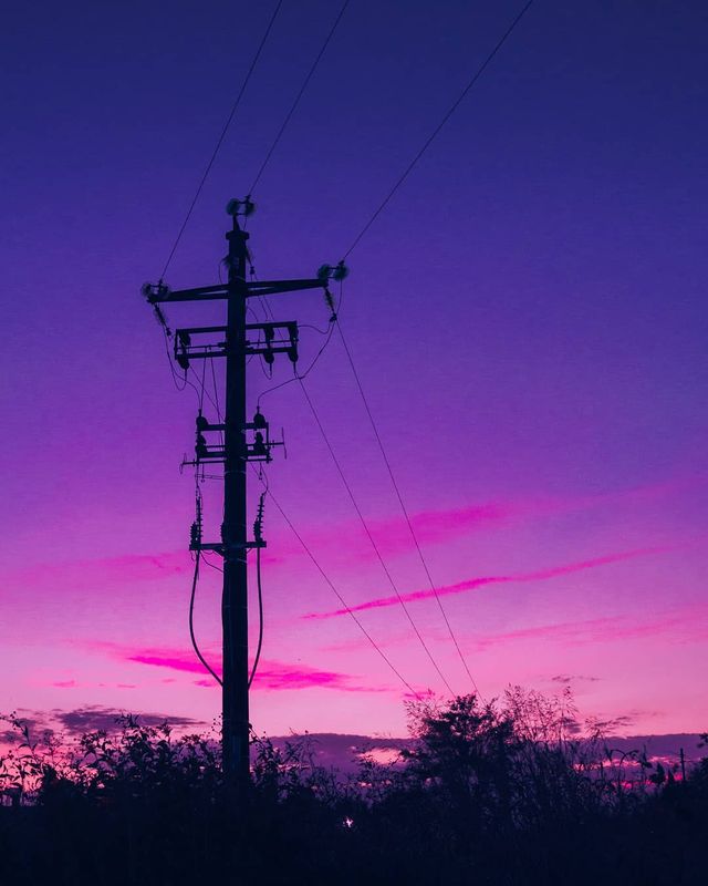 Рожевий сезон: захопливі фото світу у несподіваних кольорах - фото 322150