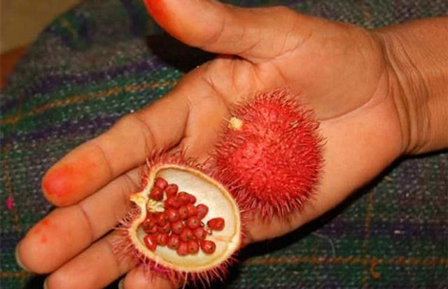5 екзотичних фруктів, про які ви не чули - фото 322508